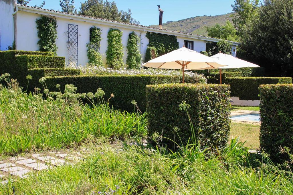 Belair Country House Bed & Breakfast Paarl Exterior foto